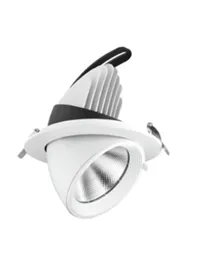Zoom Light