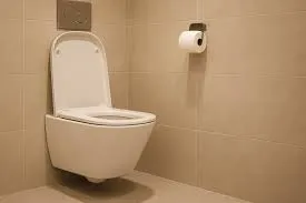 AquaFlow Premium Wall Hung Toilet | Bathroom Interior Design by Desk & Decor