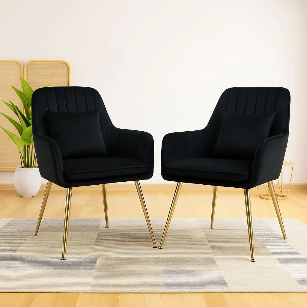Decor Modern Accent Arm Chair for Living and Dining Room