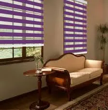 Dual Layer Zebra Blinds